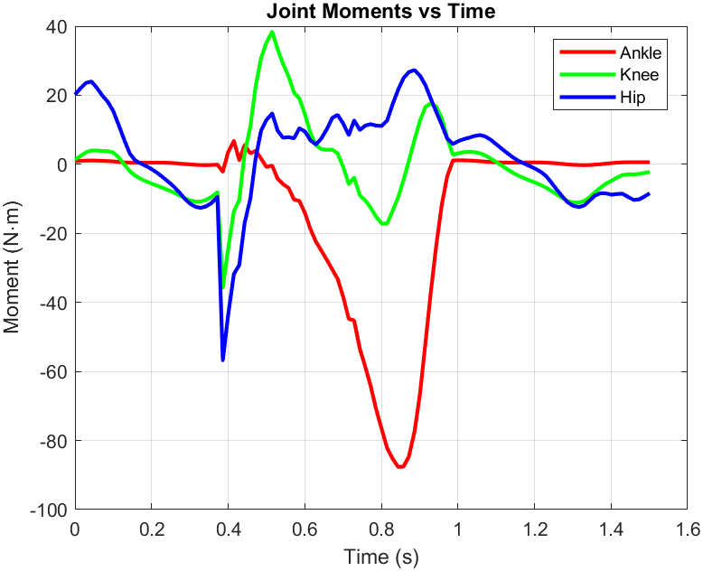 Gait Analysis Model — photo 3