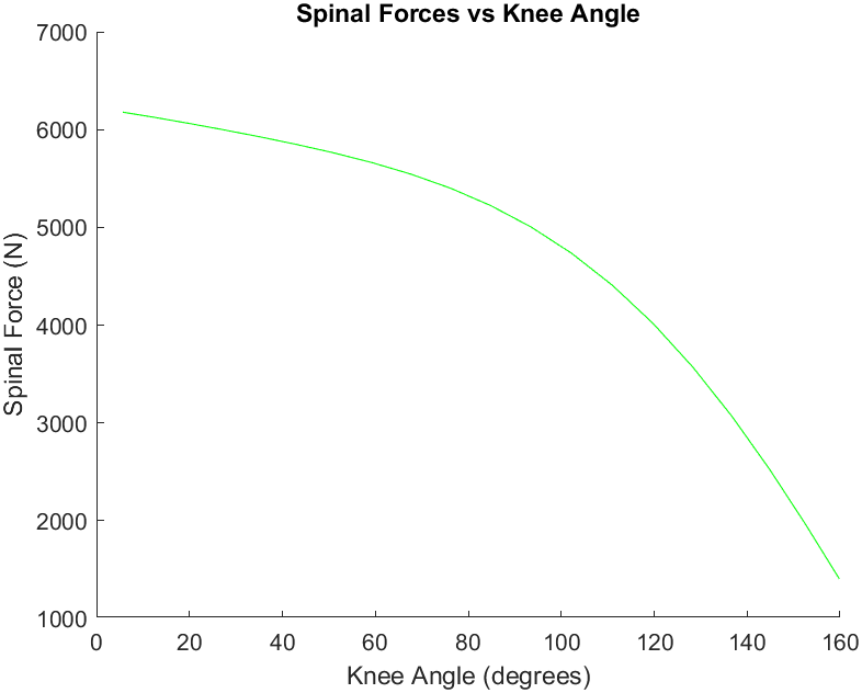 Spinal Loading Model — photo 3